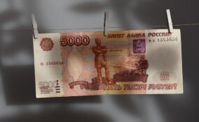 КУГИ с начала года пополнил бюджет Ленобласти на 49 млн рублей