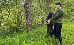 Петербуржца приговорили к 6 годам особого режима за попытку сбыть в Ленобласти более 1 кг наркотиков