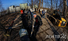 Весенняя уборка в Ленобласти продлится с 14 апреля по 8 мая