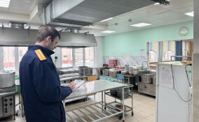 Кировские следователи заинтересовались сообщениями о тараканах в школьной столовой