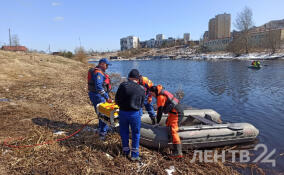 В реке Тосна продолжаются поиски тела шестилетнего мальчика