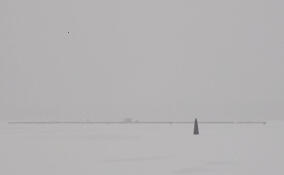 В Ленобласти передано в суд дело водителя аэролодки, врезавшегося в плавучий дом