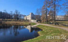 Гатчинский дворцовый парк готовят к открытию после просушки