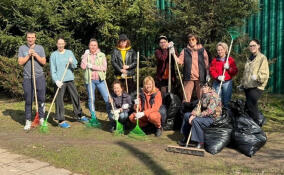 В Ленобласти 26 апреля пройдет Всероссийский субботник