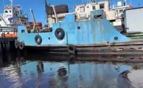 Росприроднадзор проводит проверку по факту обнаружения в порту Усть-Луга полузатонувшего танкера