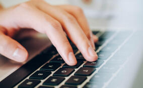 Жителя Кировского района подозревают в призывах к терроризму