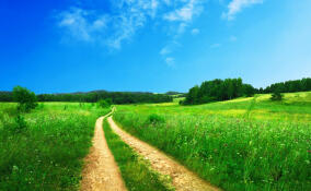 Почти 380 земельных участков получили льготники Ленобласти в 2025 году