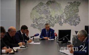 Региональные власти проверят законность использования земель в Новой Ропше