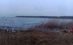 Шесть человек погибли за неделю на водоемах в Ленобласти