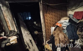 Один человек погиб при пожаре в квартире в Сланцах