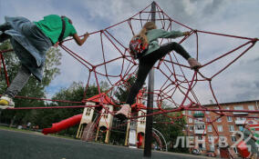 В Ленобласти намерены провести ревизию детских и спортивных площадок