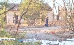 Теракт предотвращен в Нижегородской области