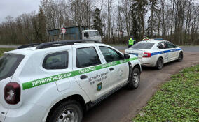 Экоинспекторы остановили подозрительный грузовик в Гатчинском округе