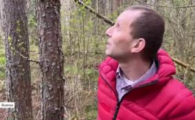 Как реализовать земельный сертификат без очереди