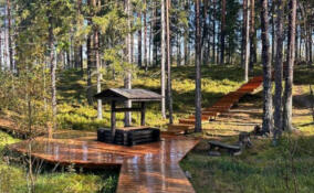 Инвестор возьмет шефство над экотропой «Ярви»