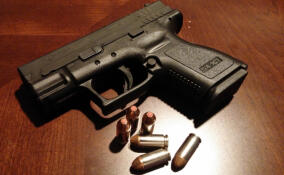 В Ленобласти дальнобойщик выстрелил из пистолета в посигналившего ему водителя