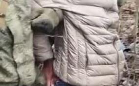 Две попытки незаконно пересечь границу с Финляндией пресекли в Ленобласти