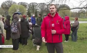 Дуб из Герники переехал на Пискаревское мемориальное кладбище