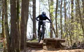 По Колтушским высотам проложили веломаршрут