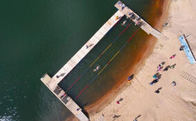 Первую региональную сборную по зимнему плаванию сформировали в Ленобласти