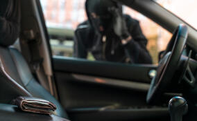 Иномарку за 5 млн рублей угнали во Всеволожском районе