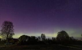 Красивое северное сияние запечатлели в Лодейнопольском районе