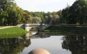 Синоптики рассказали о погоде в Ленобласти на 3 мая