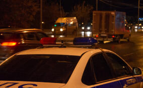 Во Всеволожском районе задержали мигранта, домогавшегося маленьких девочек