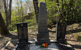 Братскую могилу советских воинов благоустроили во Всеволожском районе