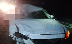 Водитель электромопеда погиб в ДТП на трассе «Сортавала» в Ленобласти