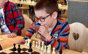 Юные шахматисты Ленобласти соревнуются за путевку в «Артек»