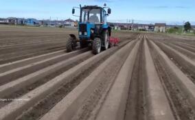 Аграрии Ленобласти приступили к посевной кампании
