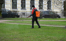 В Выборге обработают от клещей 40 гектаров