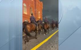 Ленинградские лошади готовятся к Параду Победы в составе кавалерийского эскорта Президентского полка