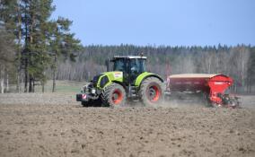 Весенние полевые работы в Ленобласти идут с опережением графика