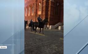 Ленинградские лошади готовятся к Параду Победы