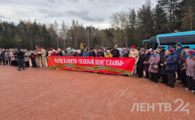 Более тысячи человек поучаствовали в Марше Памяти по «Зеленому поясу Славы»