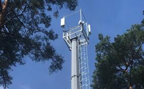 Деревню Ляды подключат к скоростному мобильному интернету