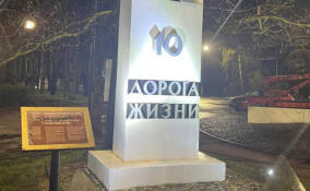 Километровые столбы Дороги Жизни в Ленобласти украсили подсветкой