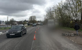 Иномарка насмерть сбила велосипедиста под Гатчиной