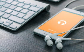 Во Всеволожском районе Ленобласти неизвестные похитили из салона связи 35 телефонов