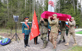 В Ленобласти перезахоронили останки 49 бойцов Красной армии