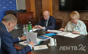 Детский омбудсмен Ленобласти отчиталась губернатору о своей работе в 2024 году