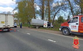 На трассе «Нарва» «Газель» врезалась в дерево