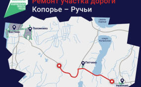 Дорожники отремонтируют 11 километров трассы «Копорье – Ручьи»