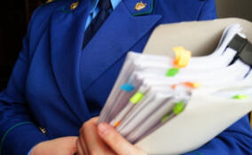 Прокуратура потребовала установить границы охранных зон двух памятников природы в Выборгском районе