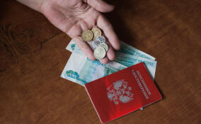 Более 284 тысяч жителей Петербурга и Ленобласти получили надбавку к пенсии за уход