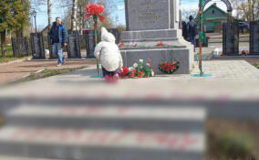 Провокация в Любани: кто стоит за «экопротестной» подлостью на мемориале