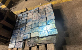 В порту Петербурга таможенники нашли партию кокаина на 500 млн рублей