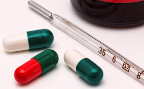 Заболеваемость гриппом и ОРВИ за неделю упала на 15,2 % в Ленобласти